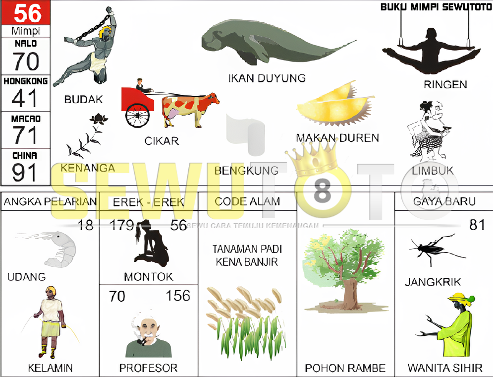 buku mimpi erek erek togel 56